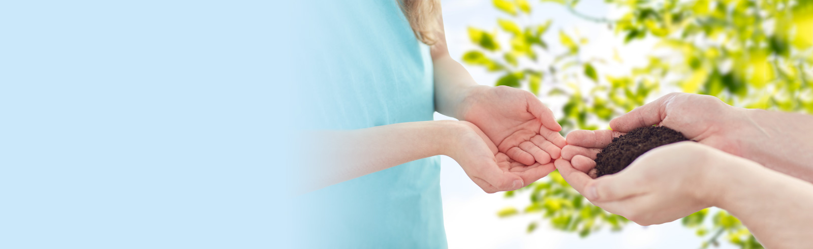 Hk prulife prestige wealth planner masthead