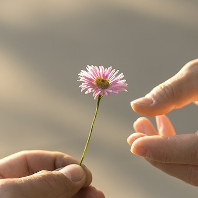 Hk wealth accumulation giving flower en