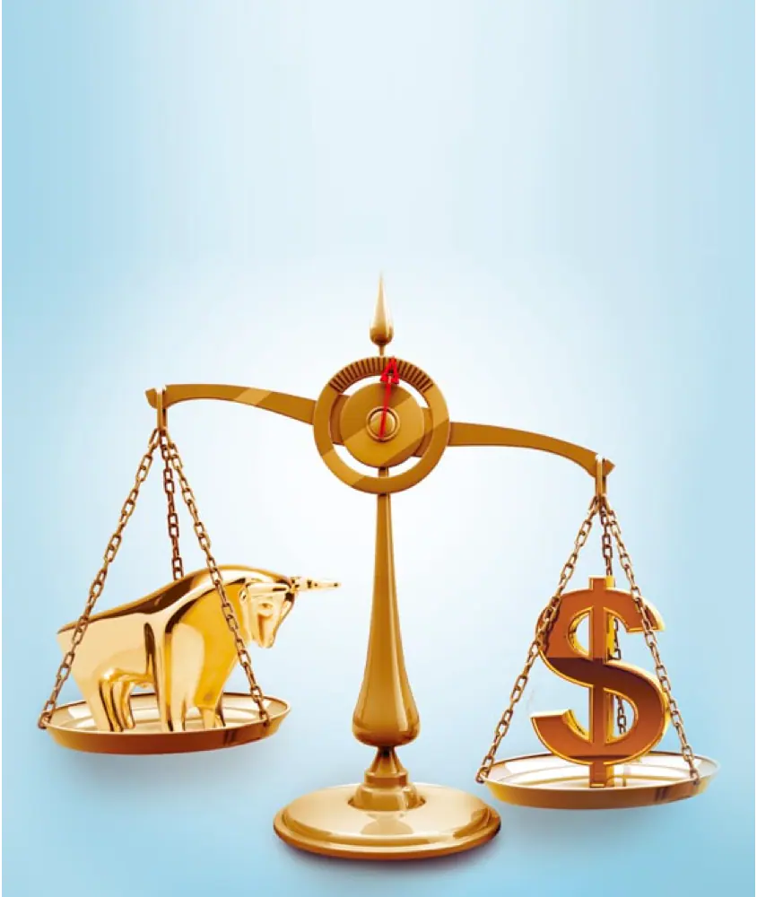 Equity Linked Investment Services