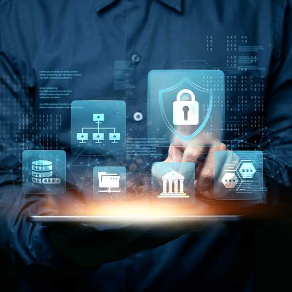 Person, Security, Adult