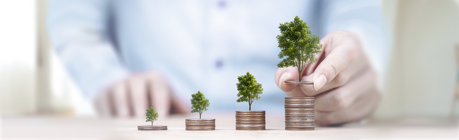 小樹在硬幣上和善用私人貸款